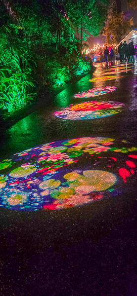 San Diego Botanic Garden - Lightscape 2025